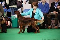 Crufts2011 076